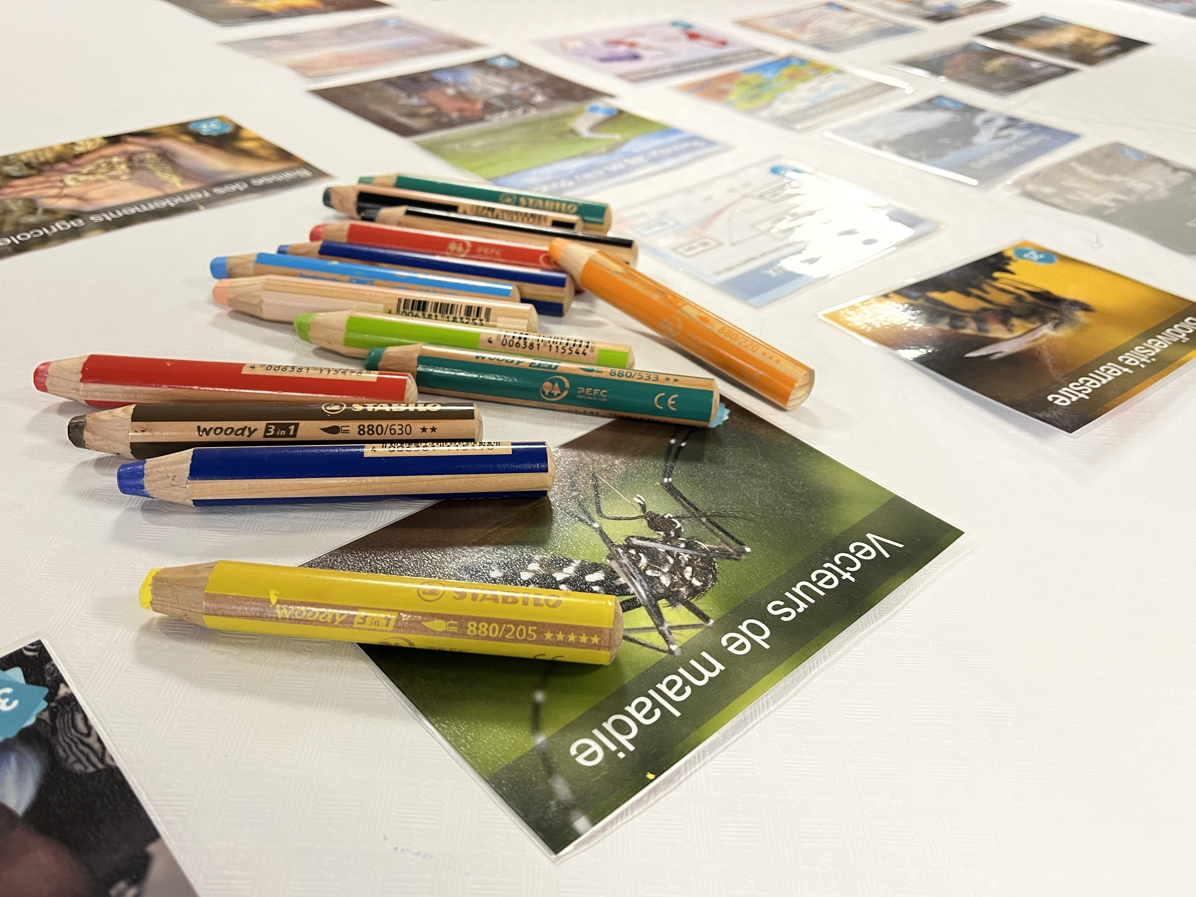 Cartes et crayons de l'atelier
